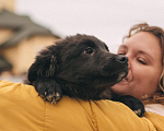 Собаки в Рязани: Баффи - умная малышка Девочка, Бесплатно - фото 2