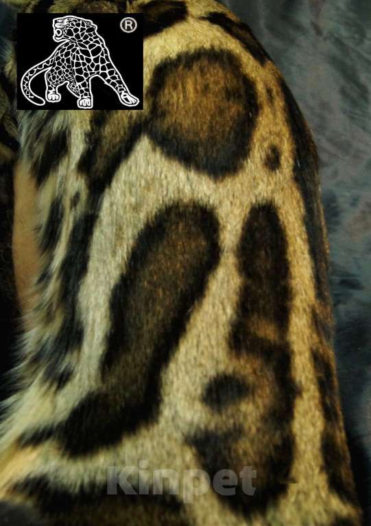 Кошки в Петропавловске-Камчатском: Бенгальский котенок. ШОУ класс Девочка, Бесплатно - фото 5