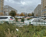 Кошки в Нижнем Новгороде: Потеряшка Мальчик, Бесплатно - фото 3