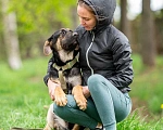 Собаки в Москве: Щенок в дар Мальчик, Бесплатно - фото 2