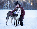 Собаки в Москве: Добрый, статный красавчик с невероятными глазами в добрые руки Мальчик, Бесплатно - фото 9