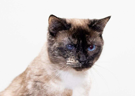 Варю никто не замечает 