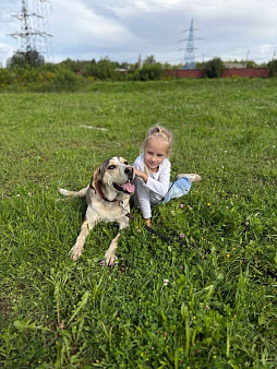 Три года надежды в глазах Рэя.