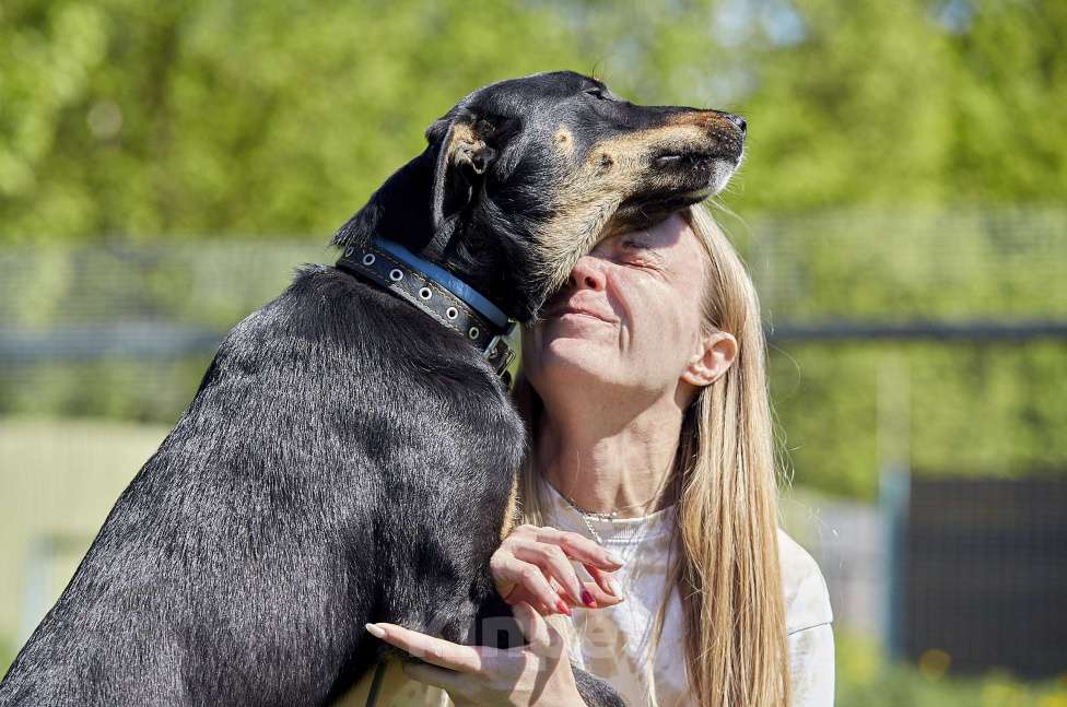 Собаки в Москве:  Джеки в добрые руки Девочка, Бесплатно - фото 2