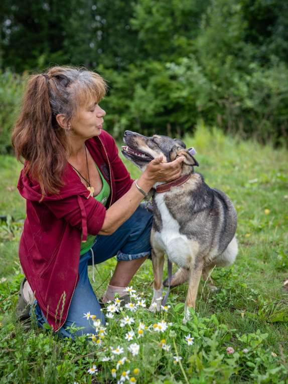Собаки в Солнечногорске: Фея в добрые руки Девочка, Бесплатно - фото 9