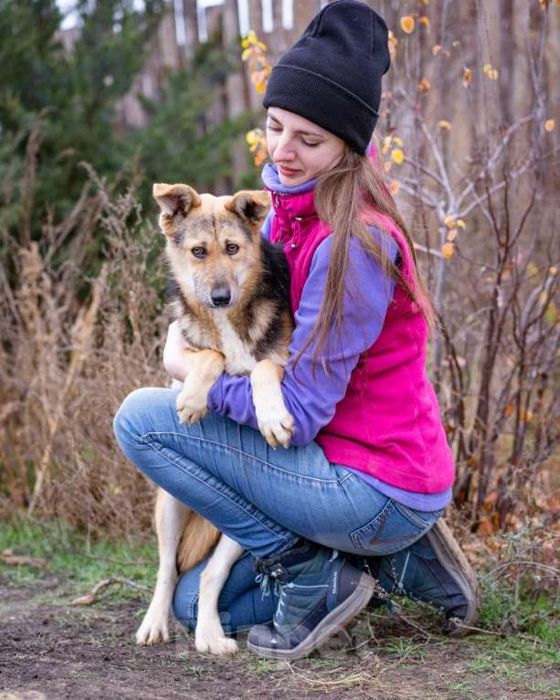 Собаки в Москве: Скромный, небольшой мальчик в добрые руки Мальчик, Бесплатно - фото 4