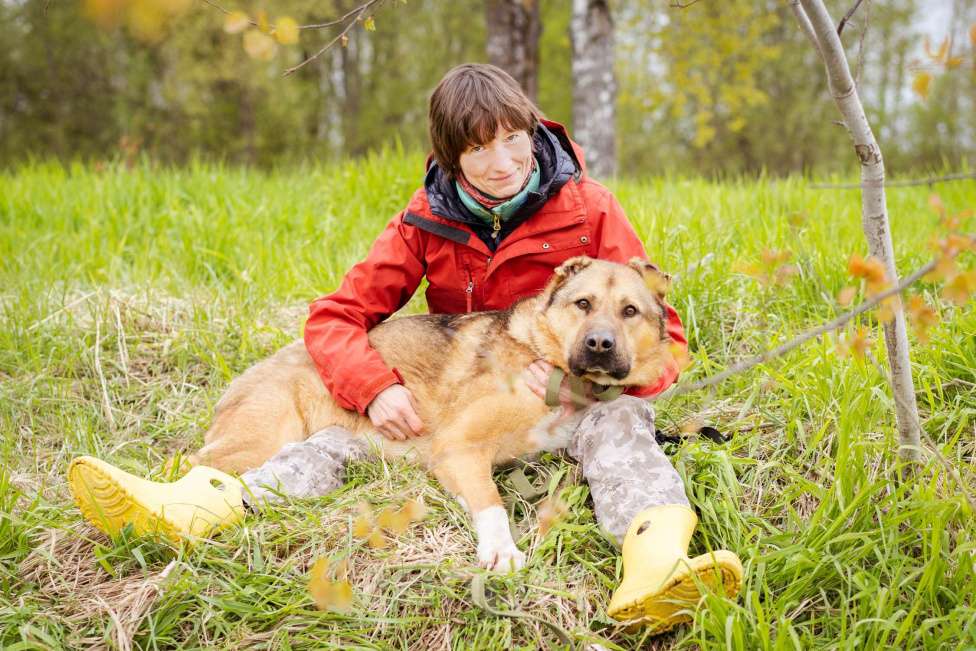 Собаки в Москве: Алабай в добрые руки Мальчик, Бесплатно - фото 6