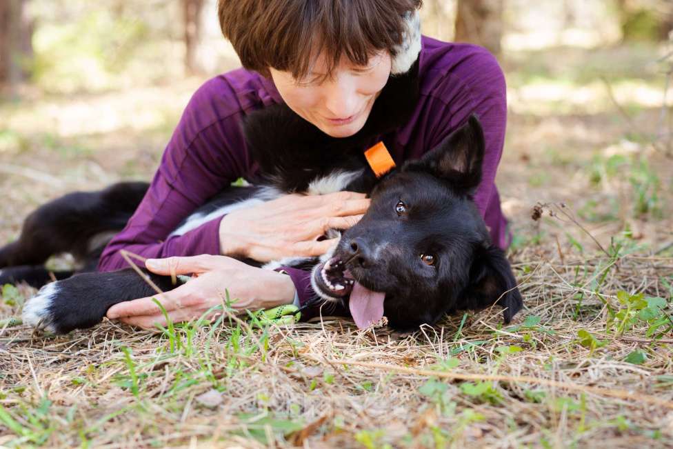 Собаки в Москве: Щенок в добрые руки Мальчик, Бесплатно - фото 7