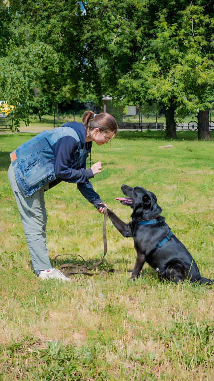 Собаки в Москве: Бадди Мальчик, Бесплатно - фото 3