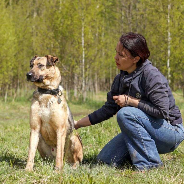 Собаки в Ногинске: Фитнес-тренер Урал приглашает к совместным прогулкам Мальчик, Бесплатно - фото 3