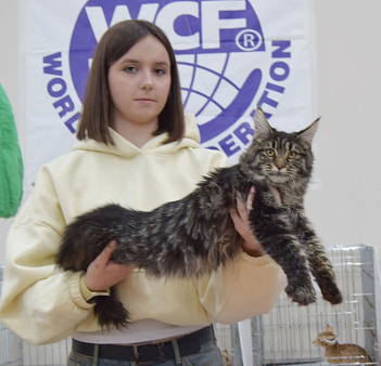 Мейн кун
