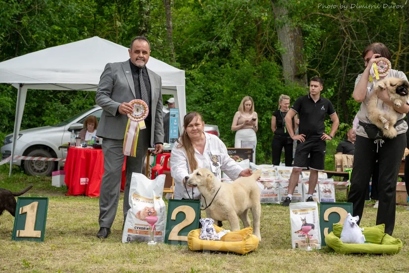 Собаки в Лиски: Щенки САО Мальчик, Бесплатно - фото 2