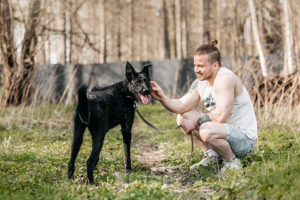 Собаки в Москве: Заберите меня, пожалуйста Мальчик, 1 руб. - фото 6