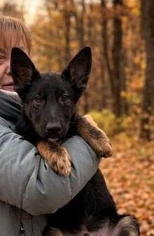Метис Цезарь в поиске своего дома