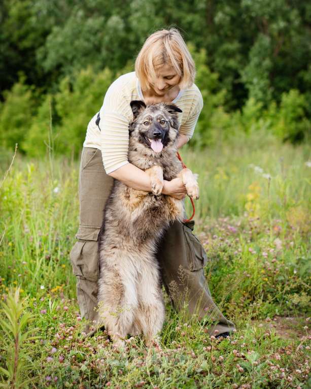 Собаки в Москве: Небольшая девочка из приюта ищет дом Девочка, Бесплатно - фото 6