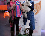 Кошки в Наро-Фоминске: невские маскарадные котята Мальчик, 50 000 руб. - фото 7