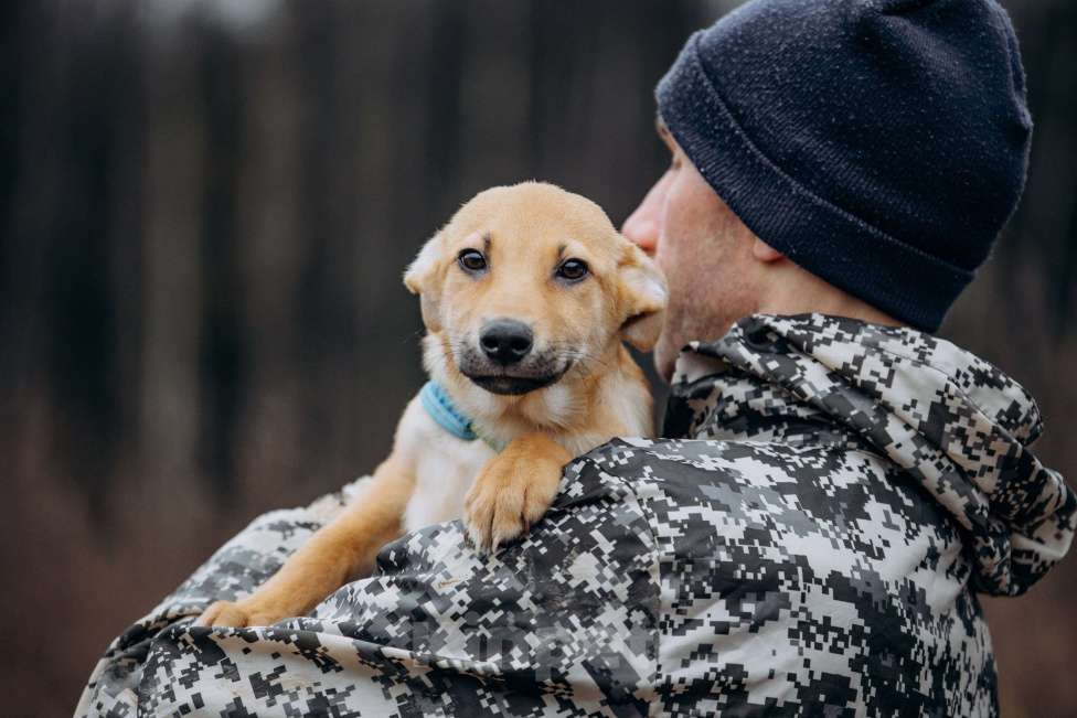 Собаки в Москве: Рыжий, маленький лисёнок в поисках дома! Мальчик, Бесплатно - фото 7