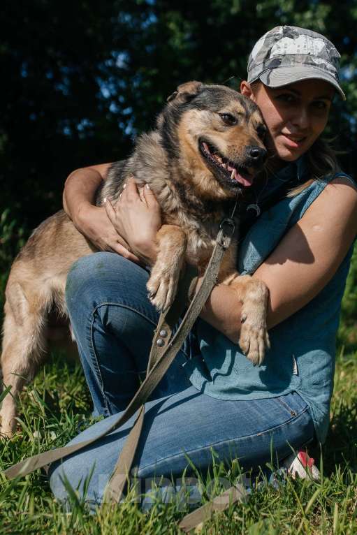 Собаки в Химках: Невероятный Зорро Мальчик, Бесплатно - фото 5