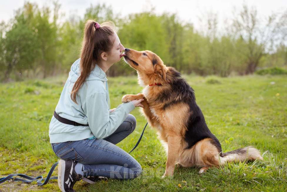 Собаки в Москве: Миндаль - собака в добрые руки Мальчик, Бесплатно - фото 8