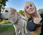 Собаки в Бийске: Вязка, 1 руб. - фото 1