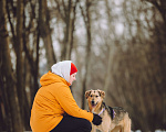 Собаки в Москве: Собака в добрые руки Девочка, Бесплатно - фото 4