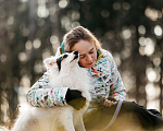 Собаки в Москве: Небольшая красавица Ронда в добрые руки Девочка, Бесплатно - фото 3