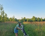 Собаки в Москве: Нежнейший хаски в добрые руки! Мальчик, Бесплатно - фото 6