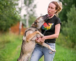 Собаки в Москве: Грозный вид и добрейшее сердце. Молодой пес Тайсон в добрые руки Мальчик, 10 руб. - фото 4