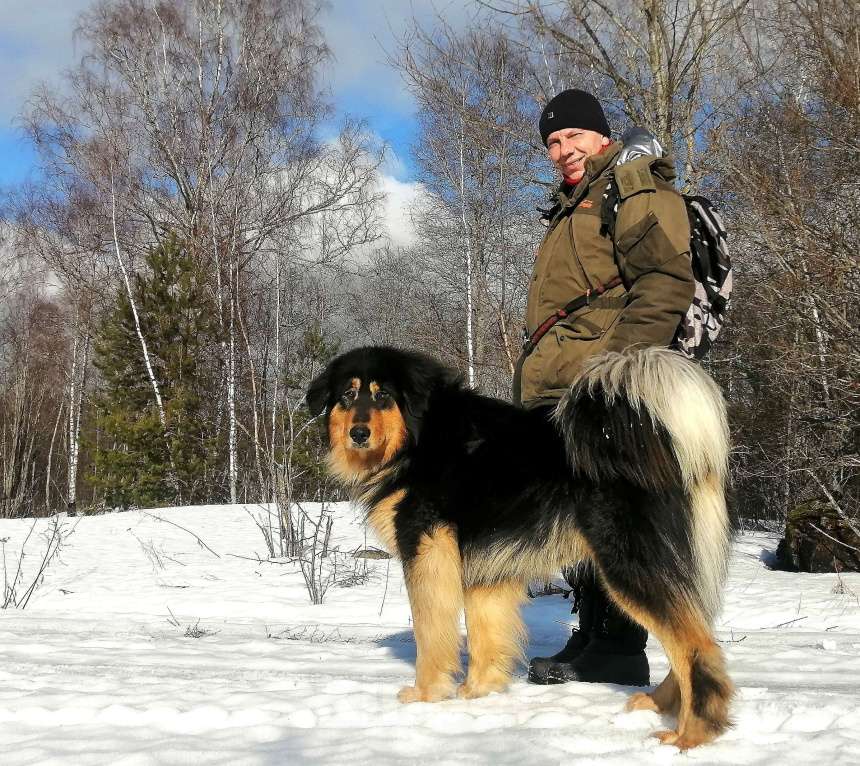 Собаки в Санкт-Петербурге: Щенки Банхара  Девочка, 75 000 руб. - фото 3