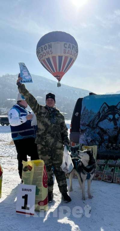 Собаки в других городах Ростовской области: Хаски красавчик! Мальчик, Бесплатно - фото 2