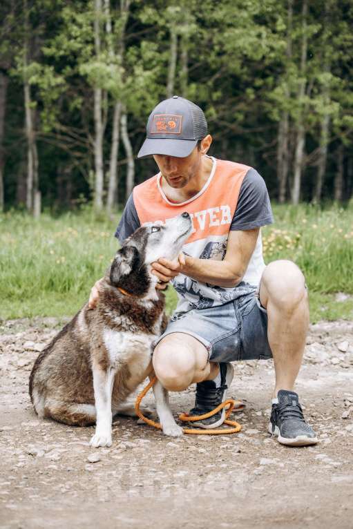 Собаки в Москве: Красотка из приюта в добрые руки Девочка, Бесплатно - фото 6