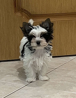 Очаровательный малыш