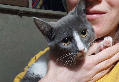 Чудесная Нино ищет дом