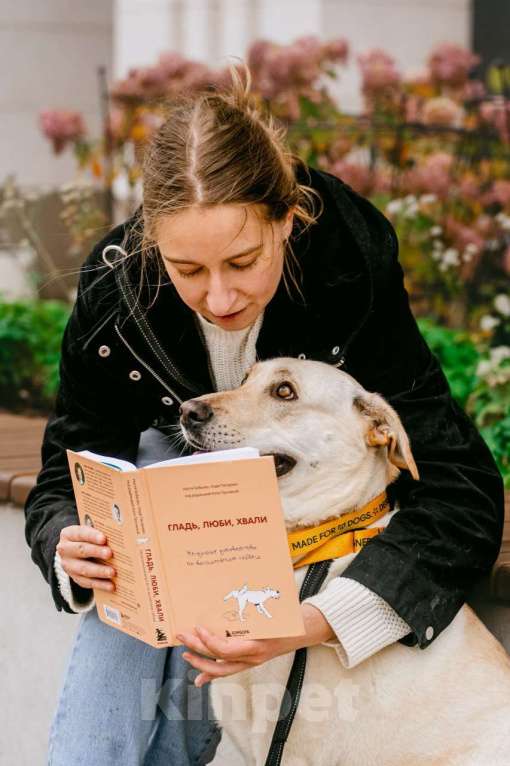 Собаки в Москве: Лабрадуринка Сия ищет дом Девочка, Бесплатно - фото 5