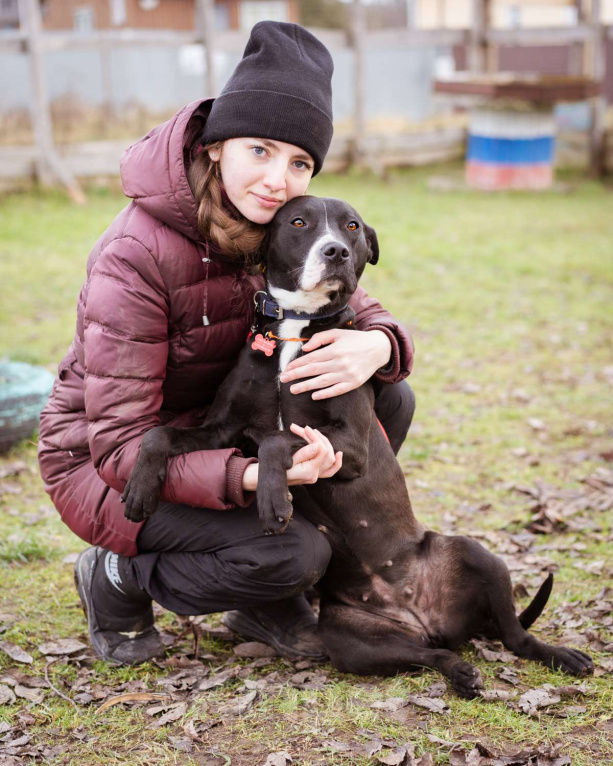 Собаки в Москве: Бывшедомашняя собака в приюте, ищет дом Девочка, Бесплатно - фото 2