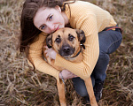 Собаки в Москве: Собака из приюта в добрые руки! Девочка, Бесплатно - фото 2