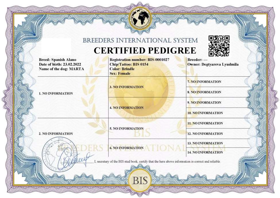 Собаки в Москве: Породистые и красивые щенки Алано Мальчик, Бесплатно - фото 5