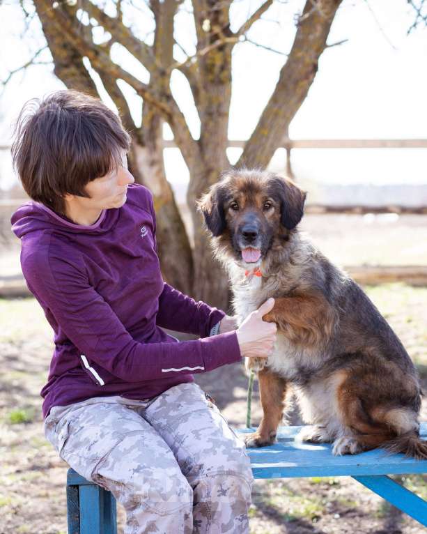 Собаки в Москве: Девочка в добрые руки Девочка, Бесплатно - фото 6