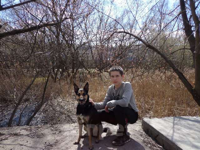 Собаки в Москве: ПРОПАЛА СОБАКА Девочка, 10 000 руб. - фото 2