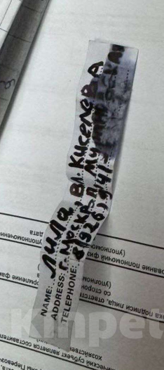 Собаки в Москве: Найдена чихуа девочка Лила Девочка, Бесплатно - фото 5