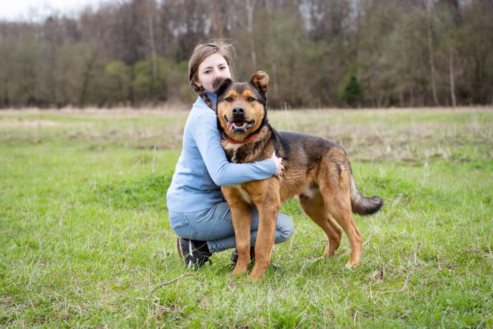 Собаки в Москве: Добрый, жизнерадостный пёс-компаньон Мальчик, Бесплатно - фото 9