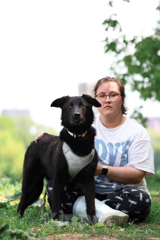 Собаки в Москве: Малыш Майли замерзает в приюте Мальчик, Бесплатно - фото 8