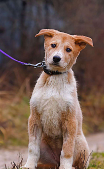 Санни ,малышка из якутска 