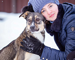 Собаки в Солнечногорске: Добрая девочка в поисках семьи Девочка, Бесплатно - фото 6