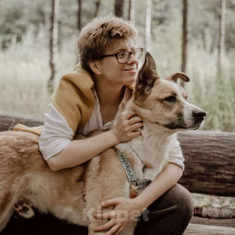 Собаки в Москве: Рори Мальчик, Бесплатно - фото 3