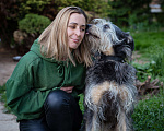 Собаки в Волоколамске: Собака-компаньон, приучена к домашней жизни Девочка, Бесплатно - фото 6