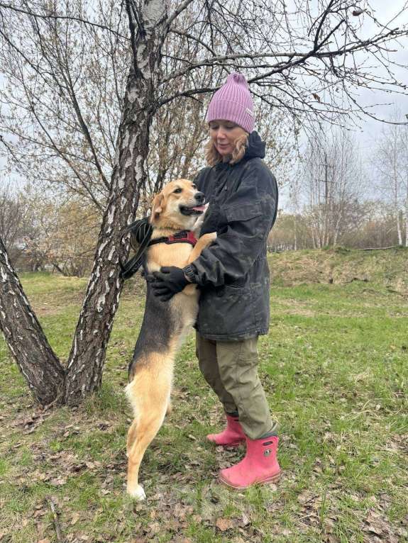 Собаки в Москве: Нежная собака Дюна из приюта Девочка, Бесплатно - фото 5