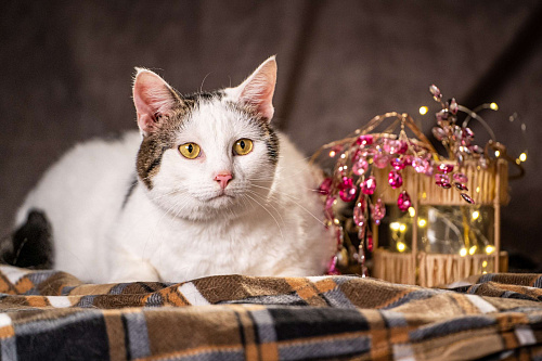 Жорж — большой добряк