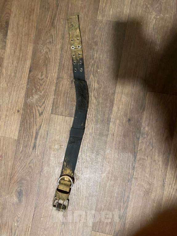 Собаки в Боровске: Найден ризеншнауцер, возможно метис ризена или РЧТ Мальчик, Бесплатно - фото 3