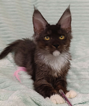 Девочка чёрный дым с белым